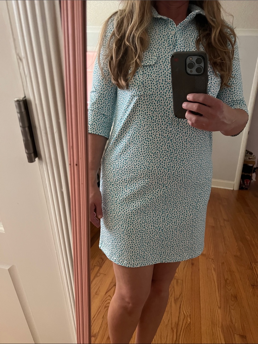 Persifor Winpenny Dress large EUC like new